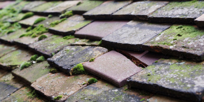 Coleorton roof repair costs